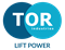 Аккумулятор для тележки TOR PPT15 20Ah - фото 171267